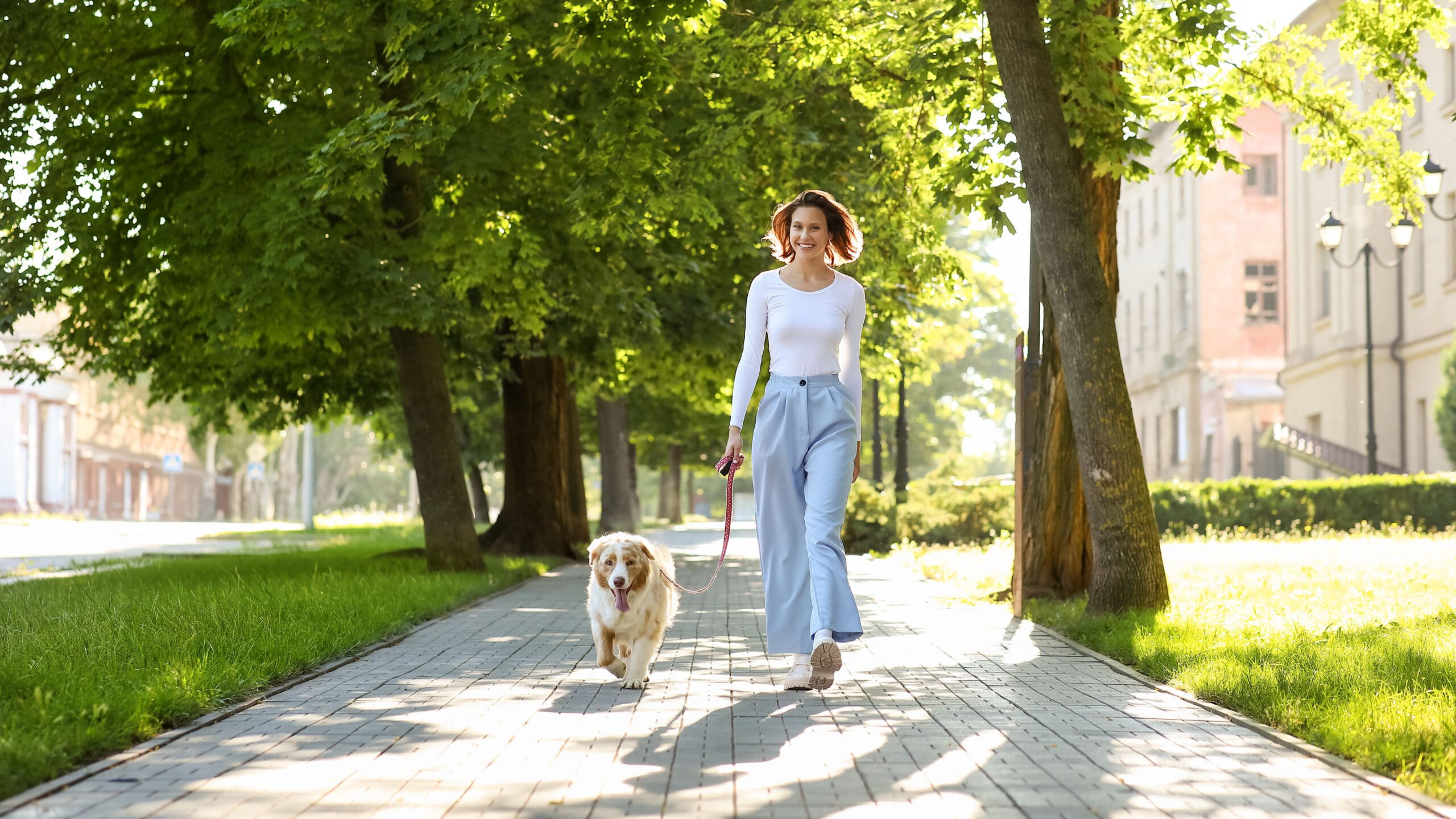 Behind the Build: How to Stay On Time and On Budget with Your Medical Clinic Project